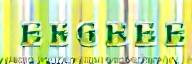Logo Evergreen Joys Pte Ltd